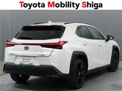 UX250h アーバンエレガンス