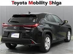 UX250h バージョンC