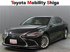 ES300h バージョンL