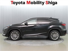 RX300 バージョンL