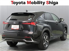 NX300h Iパッケージ