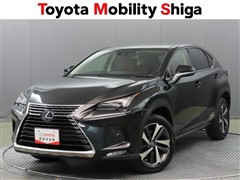 レクサス NX300h Iパッケージ