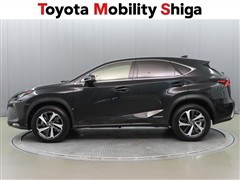 NX300h Iパッケージ