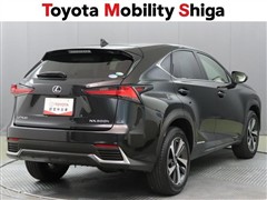 NX300h Iパッケージ
