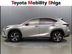 NX300h バージョンL