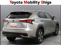 NX300h バージョンL