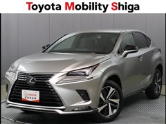 レクサス NX300 スパイス&シック
