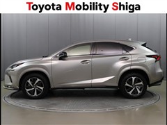 NX300 スパイス&シック