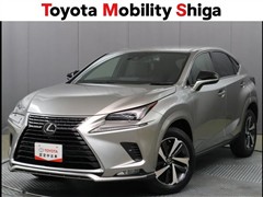 レクサス NX300 スパイス&シック