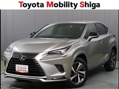 レクサス NX300 スパイス&シック