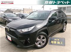 RAV4 X