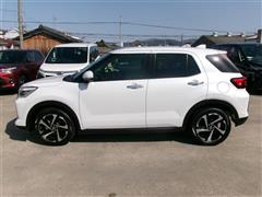 ライズ ハイブリッドZ