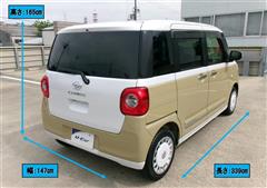 ムーヴキャンバス ストライプス G