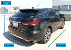 RX300 バージョンL