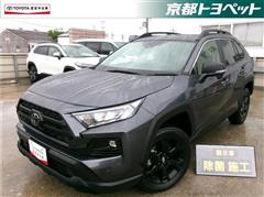 RAV4 アドベンチャーオフロード