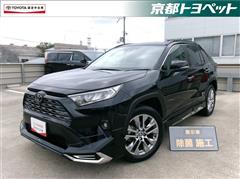 RAV4 G Zパッケージ
