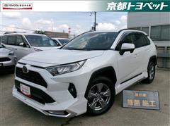 RAV4 X