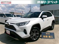 RAV4 G