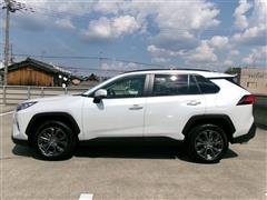 RAV4 G