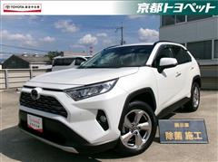 RAV4 G