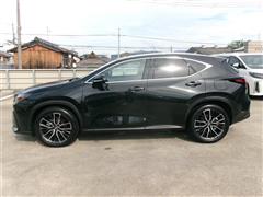 NX350h バージョンL