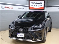 NX300 Fスポーツ
