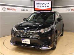 RAV4 ハイブリッドG