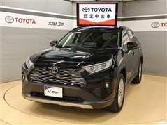 RAV4 G Zパッケージ