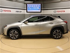 UX250h バージョンC