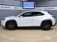 UX250h バージョンC