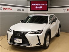 UX200 バージョンC