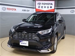 RAV4 G Zパッケージ