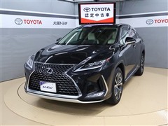 RX300 バージョンL