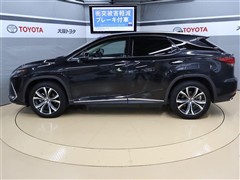 RX300 バージョンL