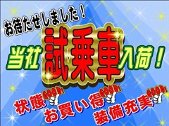ヴォクシーHV S-Z