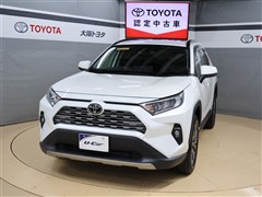 RAV4 2.0G 4WD