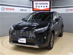 RAV4 HV G E-Four