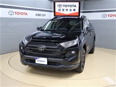 RAV4アドベンチャオフロードP2