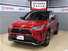 RAV4 PHV ブラックトーン