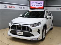 RAV4 X