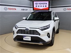 RAV4 HV G E-Four