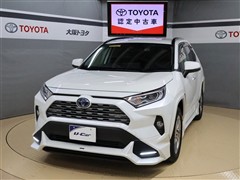 トヨタ RAV4 HYBRID G E-Four