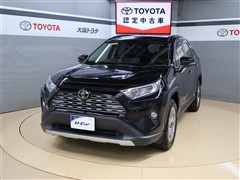 RAV4 2.0G 4WD