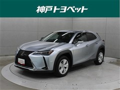 UX250h バージョンC