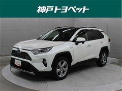 RAV4 HV G