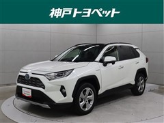 RAV4 HV G