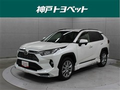 RAV4 G Zパッケージ