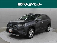 RAV4 HV G