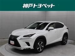 NX300 Iパッケージ