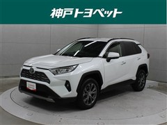 RAV4 G